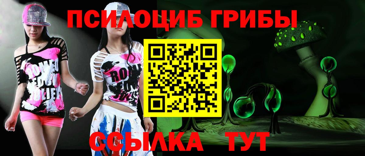 Псилоцибиновые грибы GOLDEN TEACHER  Вход с VPN  что такое наркотик  Галлюциногенные грибы мицелий  Еманжелинск 